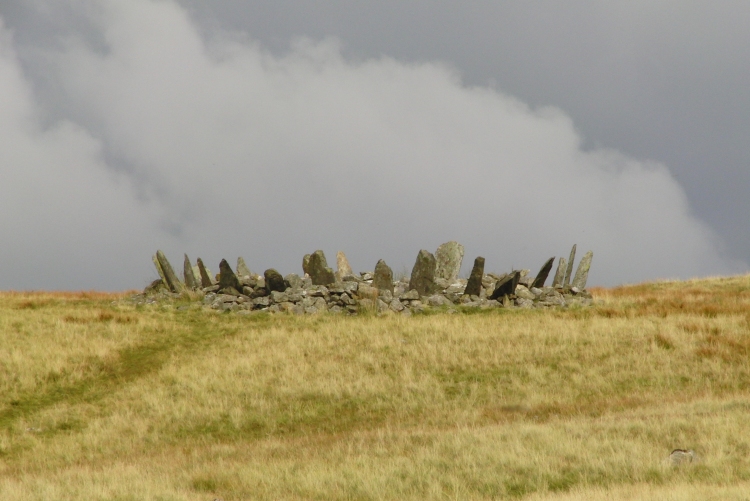 Click for the gallery page to add comments and vote (PID:88405) Bryn Cader Faner