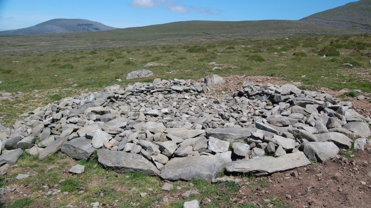 Mynydd Egryn (Mount Egryn).  Midway between the 2 tombs of Carneddau Hengwm and the crown-effect cairn circle of Hengwm on the slopes of Mynydd Egryn.  A series of circles seem to have been recently excavated.  This picture looks over the circle towards NE (the top of Moelfre bearing 11' if that helps locate it)