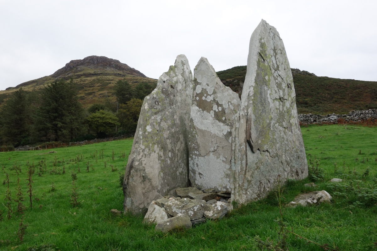 Cist Cerrig sits proudly and nestles below Moel Y Gest.