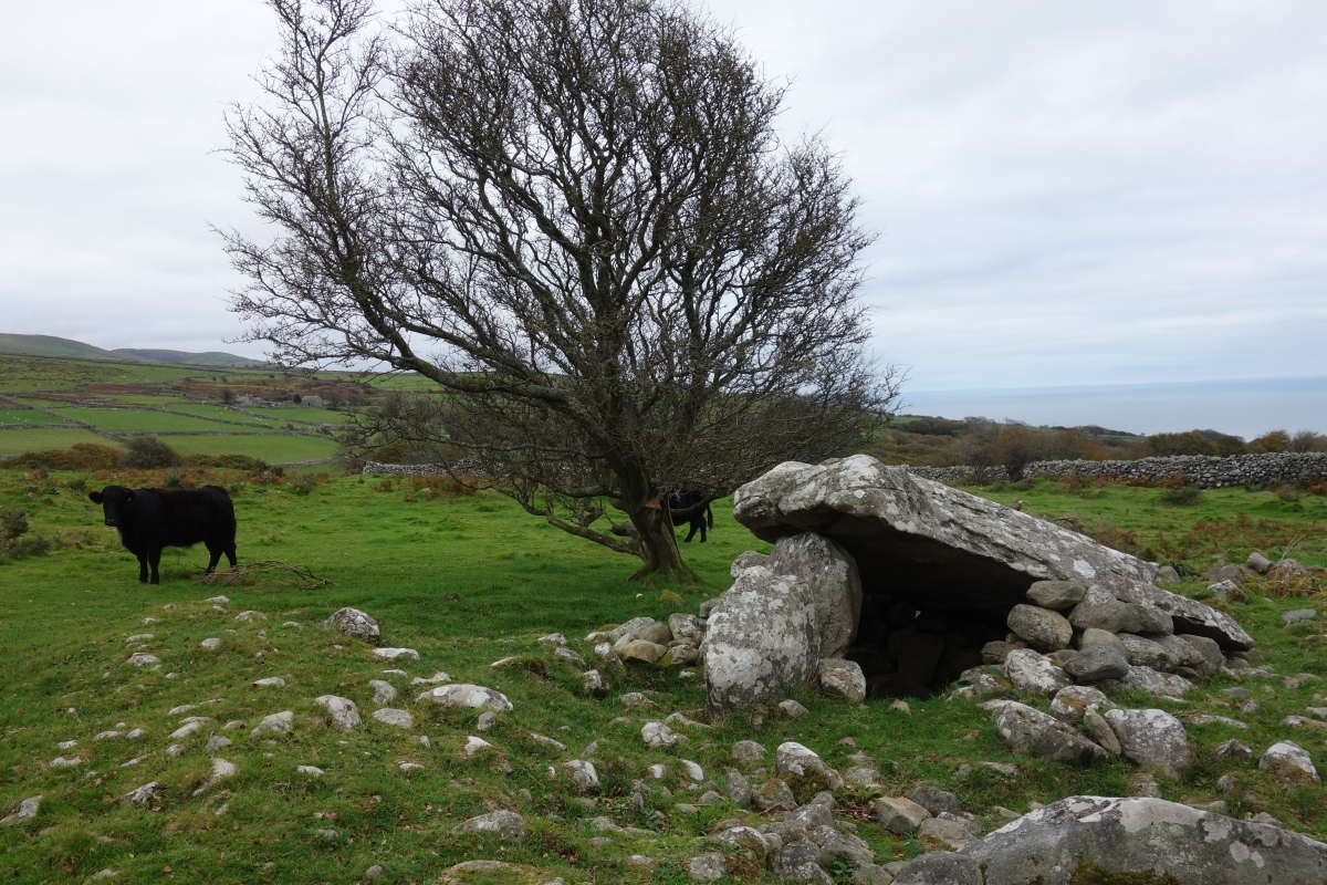 Cors y Gedol