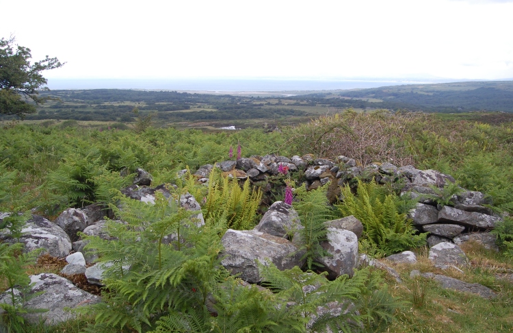Click for the gallery page to add comments and vote (PID:39689) Ffynnon Enddwyn