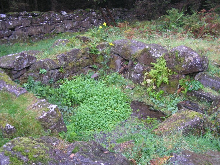 Click for the gallery page to add comments and vote (PID:33780) Ffynnon Saint (Rhiw)