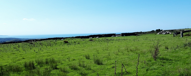 Garreg round cairn