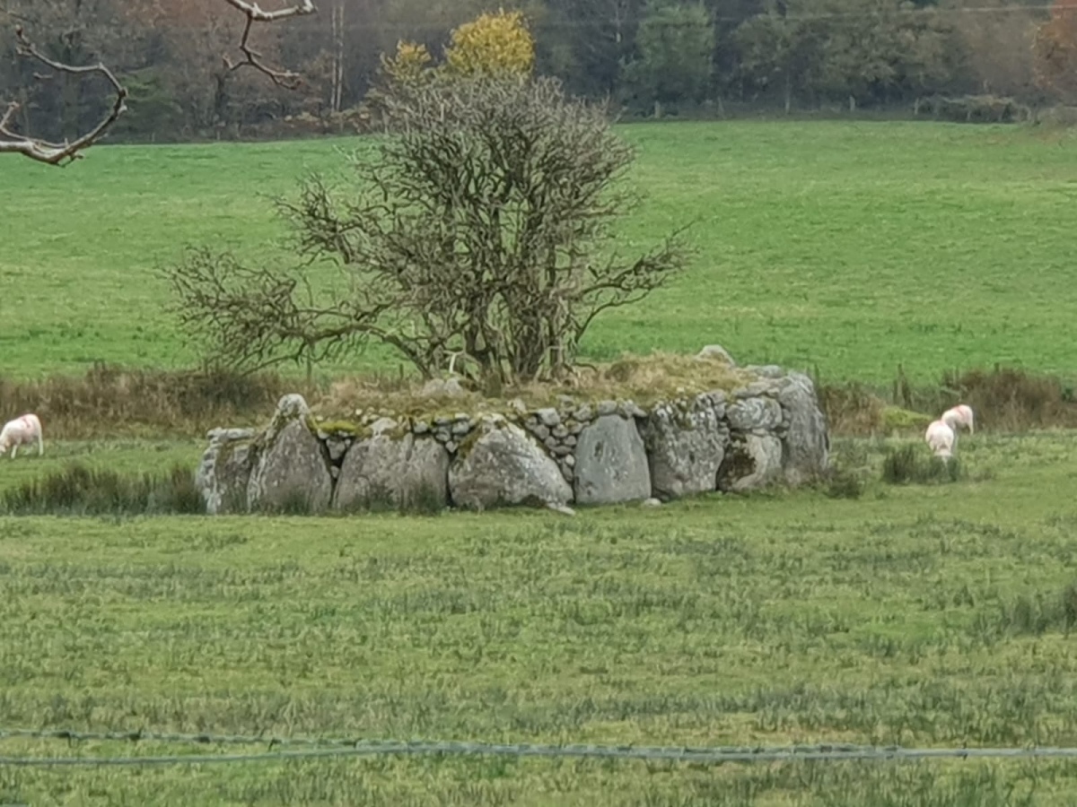 Hut Circle near Ty Mawr