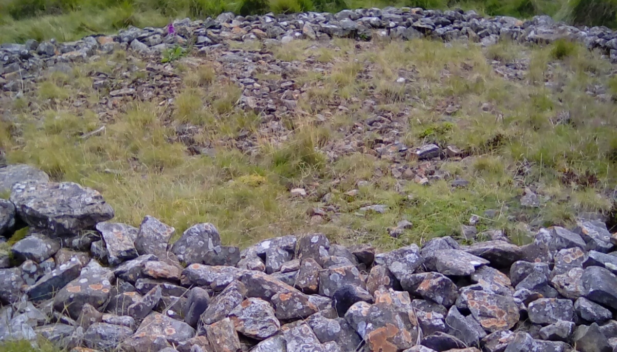 Click for the gallery page to add comments and vote (PID:214059) Crawcwellt Ancient Settlement
