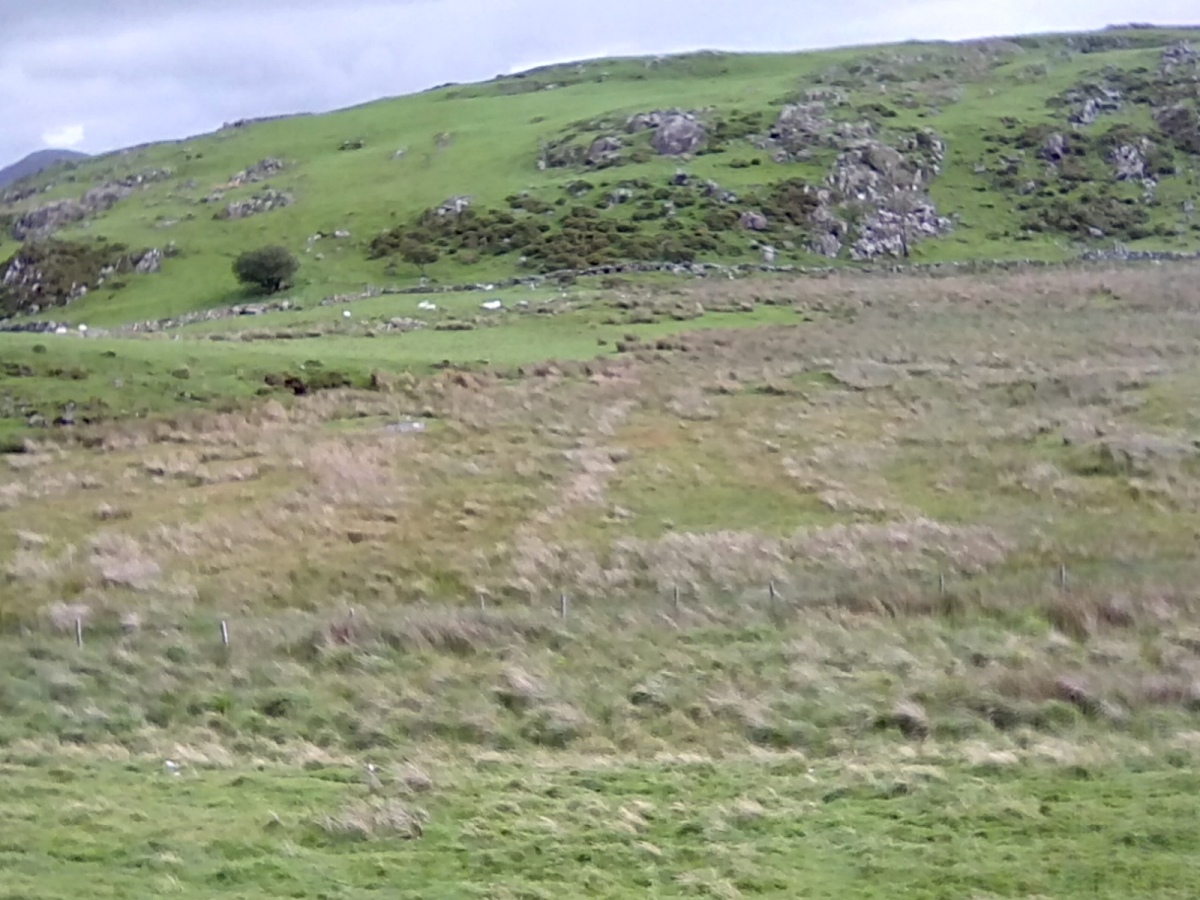 Hut Group West of Cwm Mawr