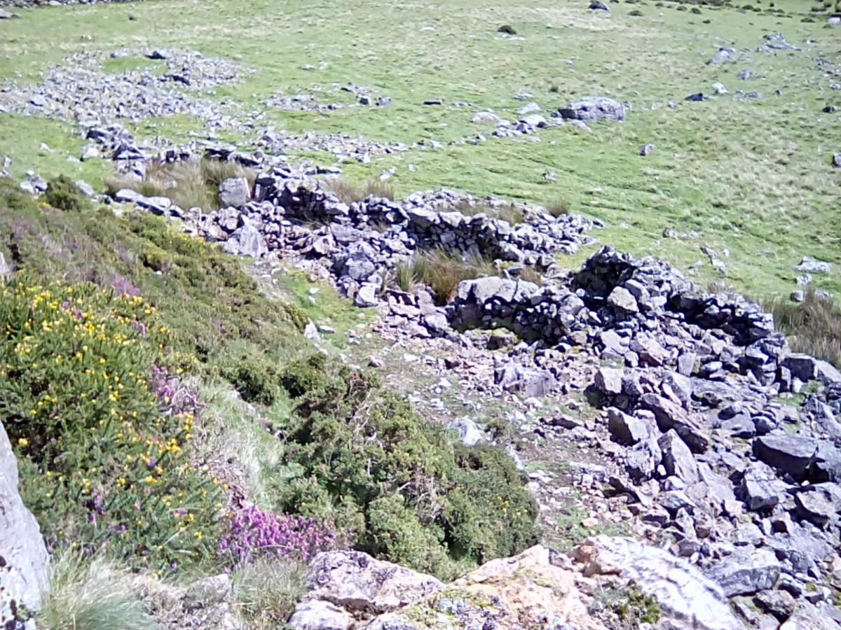 Click for the gallery page to add comments and vote (PID:215036) Hut Circle Settlement West of Treforys deserted quarry village