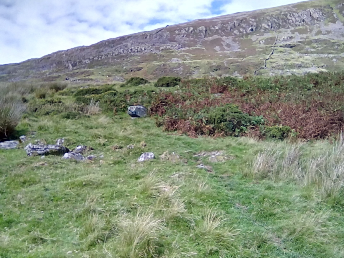 Click for the gallery page to add comments and vote (PID:215143) Hut Circle North of Ffridd Isaf