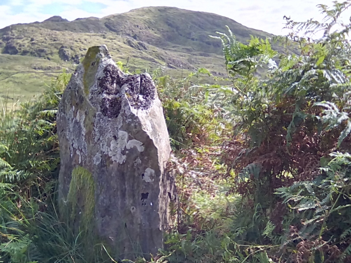 Click for the gallery page to add comments and vote (PID:215068) Ffridd Isaf Standing Stone 1