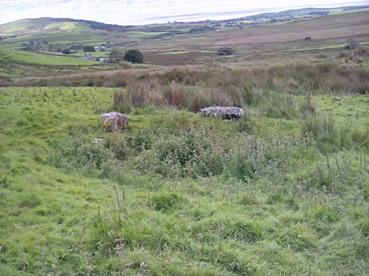 Click for the gallery page to add comments and vote (PID:215418) Hut Circle near Cae Bach