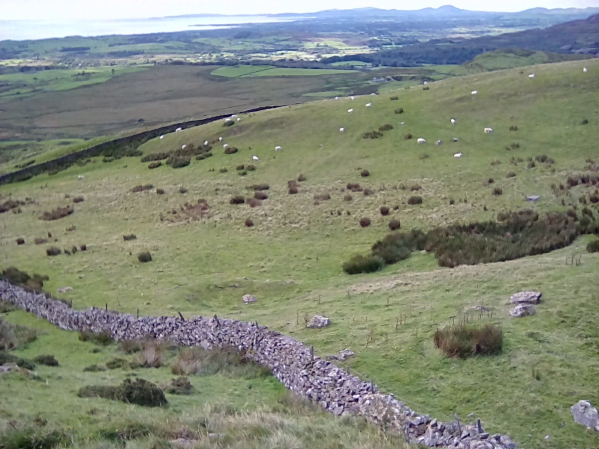 Click for the gallery page to add comments and vote (PID:215430) Hut Circles at Braich Y Gornel