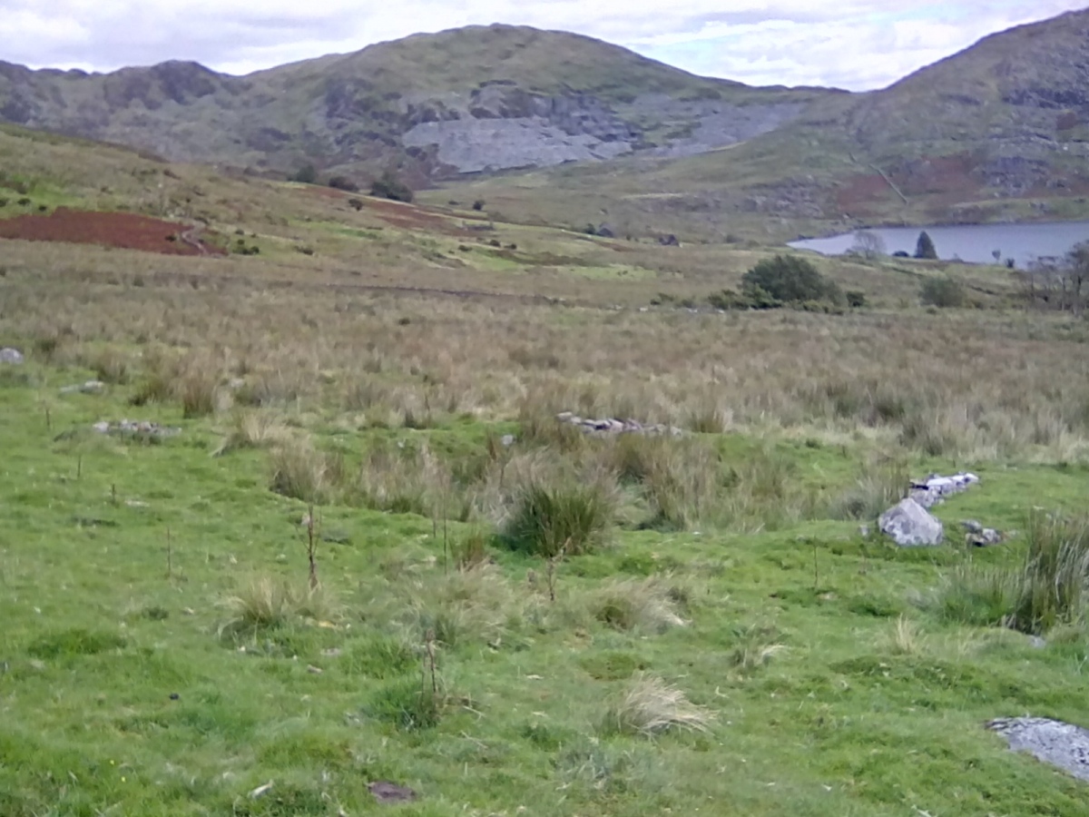 Single Hut Circle East of Braich Y Gornel