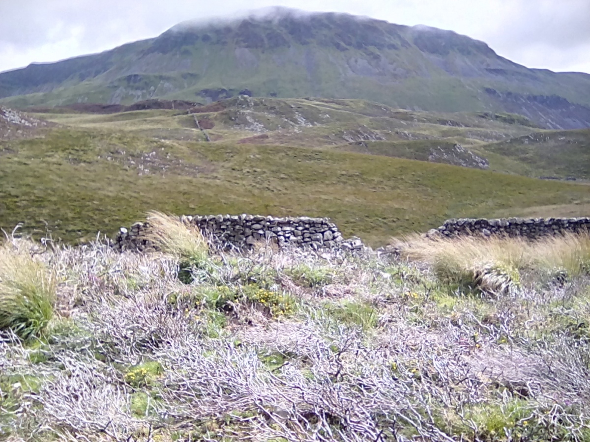 Click for the gallery page to add comments and vote (PID:215688) Cairn South of Pared Y Cefn Hir