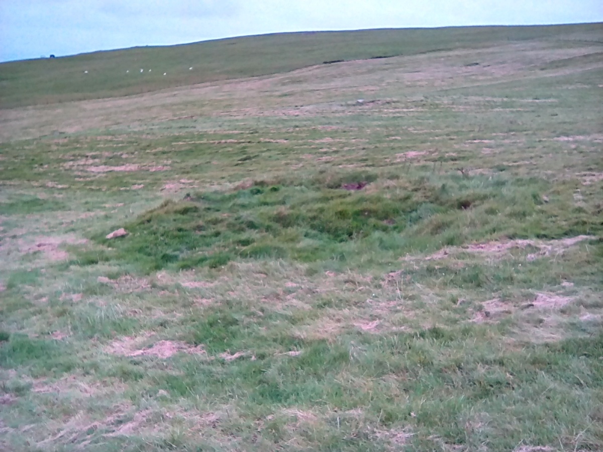 Click for the gallery page to add comments and vote (PID:215909) Hut Circles And Enclosure East of Cae'r Mynach