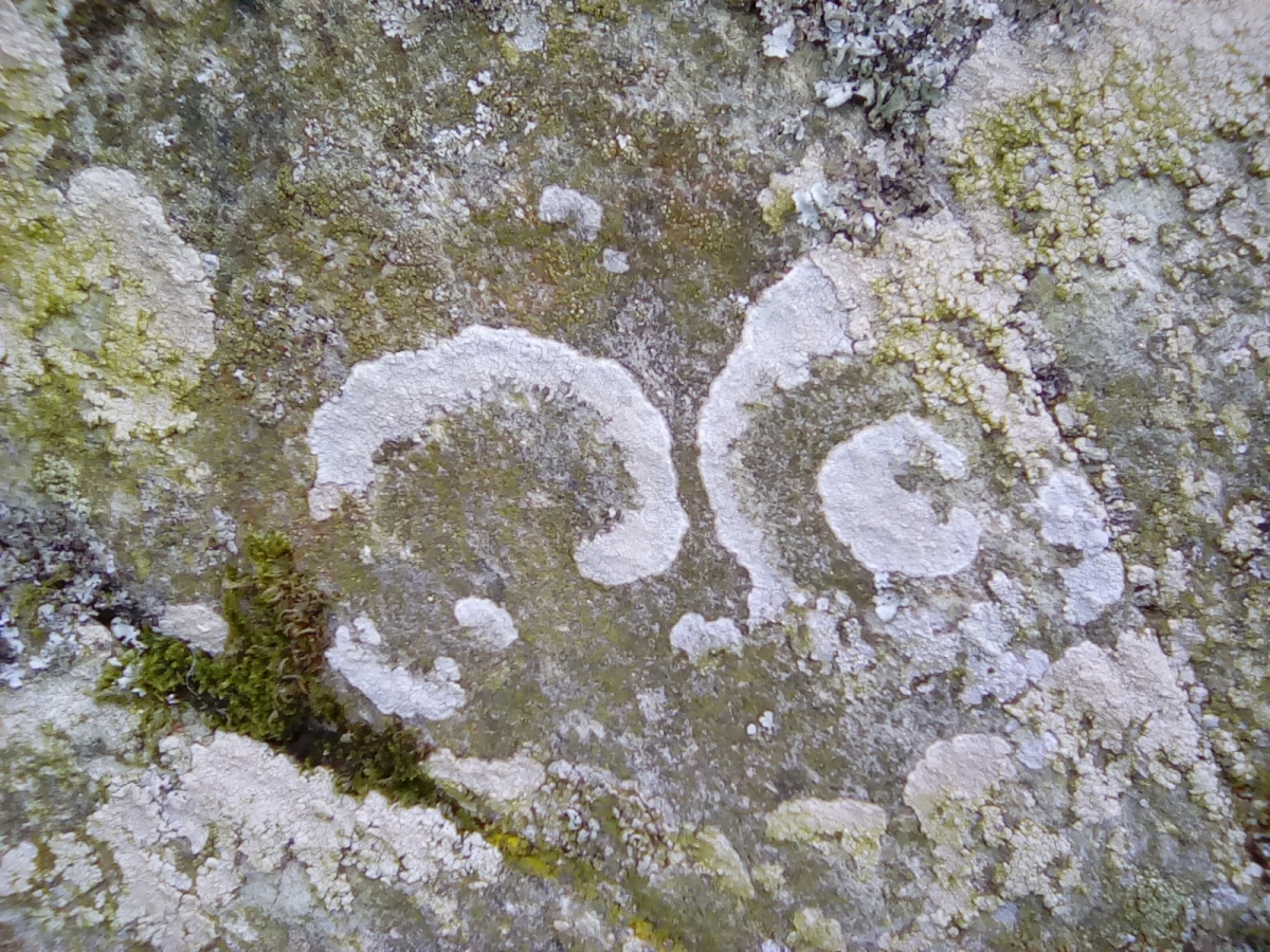 Cefnfilltir Standing Stone