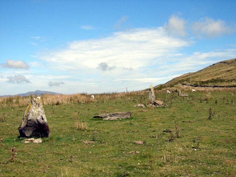 Click for the gallery page to add comments and vote (PID:23152) Waun Oer