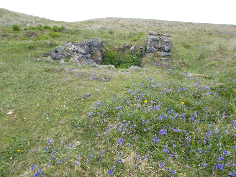 Click for the gallery page to add comments and vote (PID:156012) Merddyn Cil