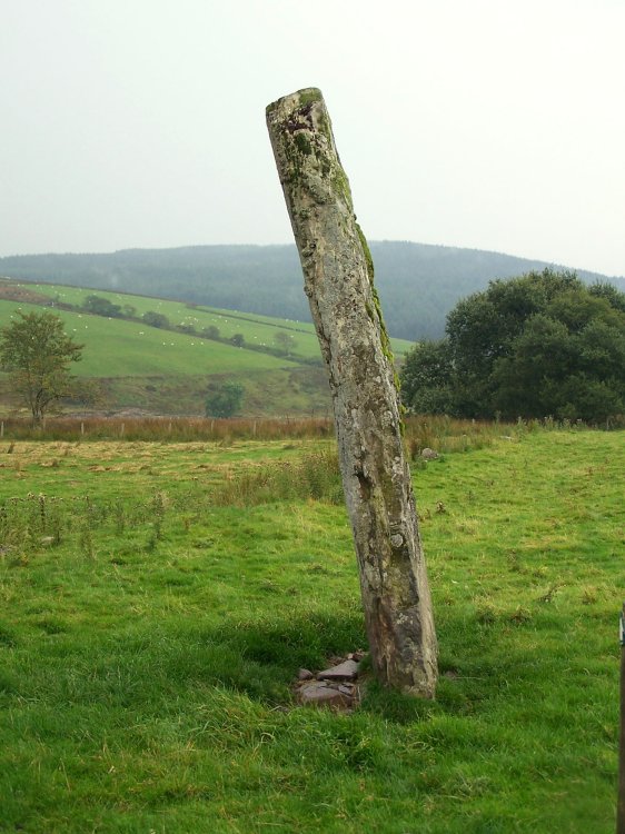 Looking to the W, the curve seems to be exaggerated  by the lean of the stone.