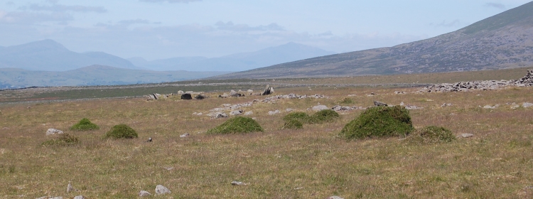 Click for the gallery page to add comments and vote (PID:39752) Mynydd Egryn Settlement