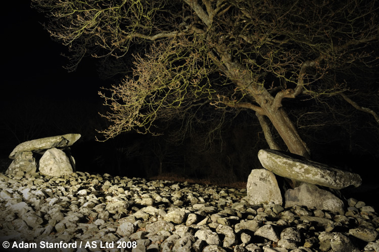 Dyffryn Ardudwy Dolmens