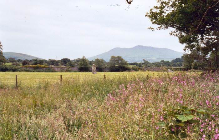 Click for the gallery page to add comments and vote (PID:21712) Maen Llwyd (Gwynedd)