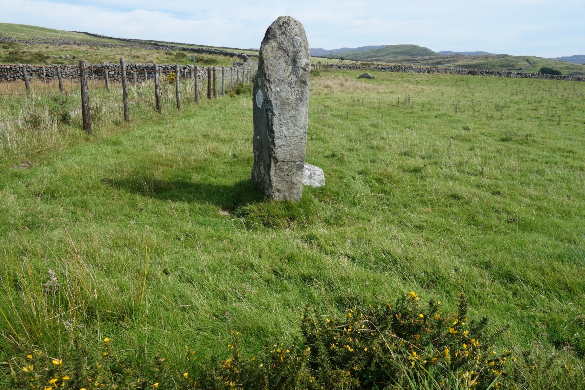 Moel Goedog 8