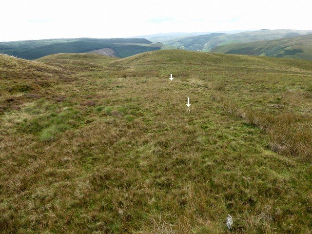 Mynydd Clywedog