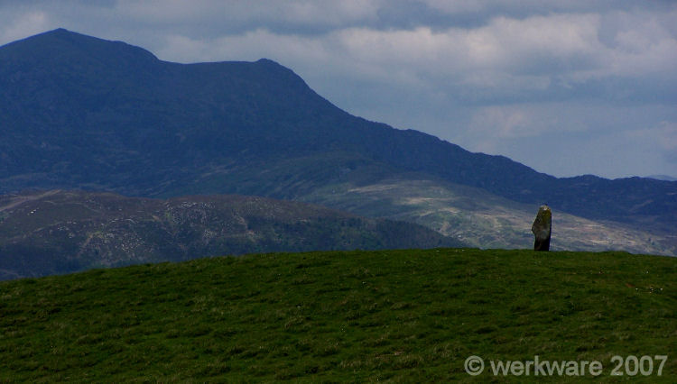 Click for the gallery page to add comments and vote (PID:27784) Planwydd Helyg Standing Stone