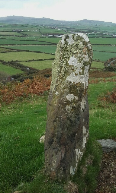 Click for the gallery page to add comments and vote (PID:233644) Tynanelog Standing Stone