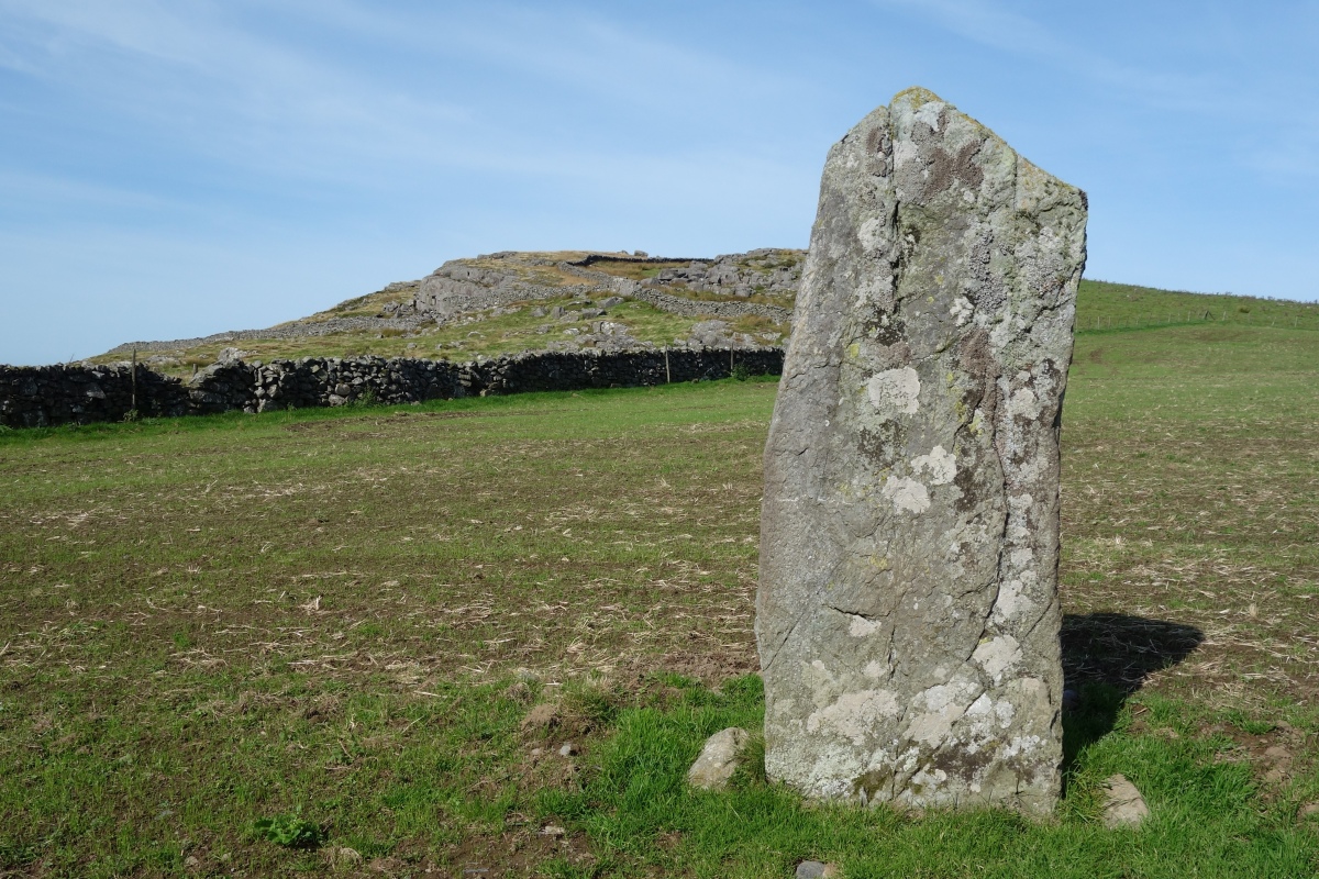 Moel Goedog 7