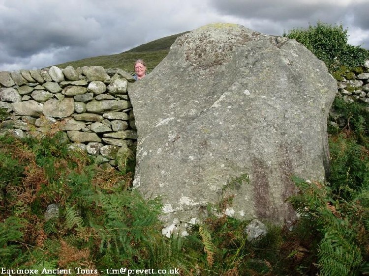 Bron y Foel Isaf