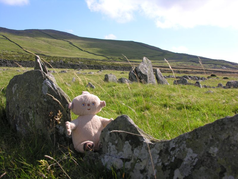 This is a delight not to be missed. If you visit the tombs at Carneddau Hengwm, this is just a few minutes walk away. Take it in, or you'll be kicking yourself. A small ring cairn, with outward leaning stones, and an internal ring recognisable in most of the monument. It appears also to be sited so as to give an impression of being on a ridge. Comparisons with Bryn Cader Faner, which is to the nor