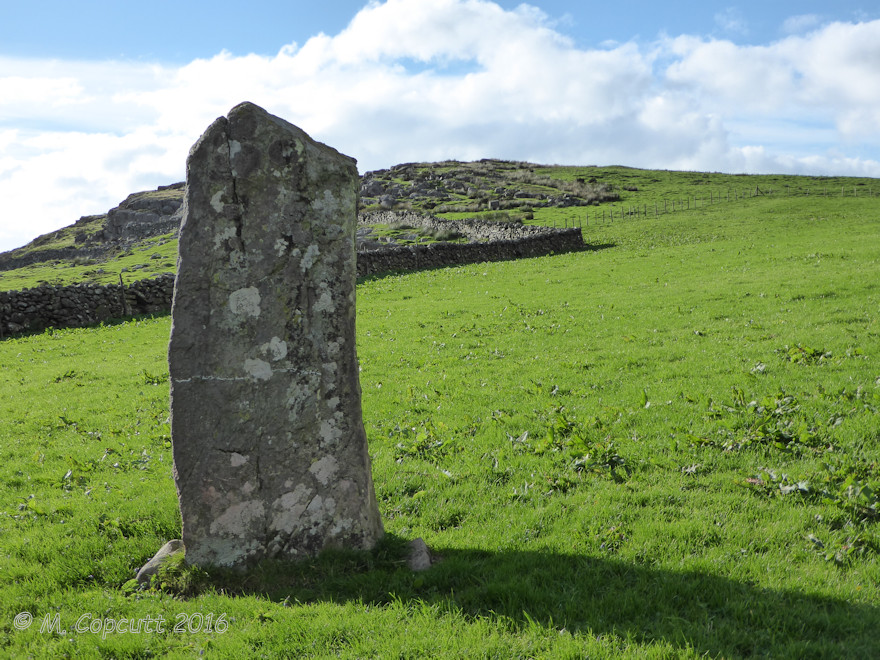 Moel Goedog 7