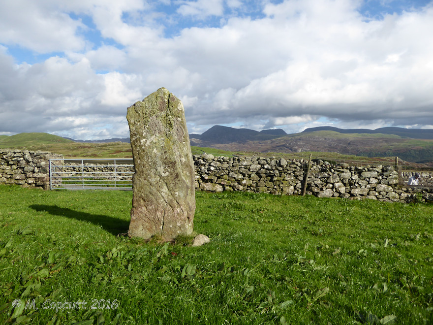 Moel Goedog 7