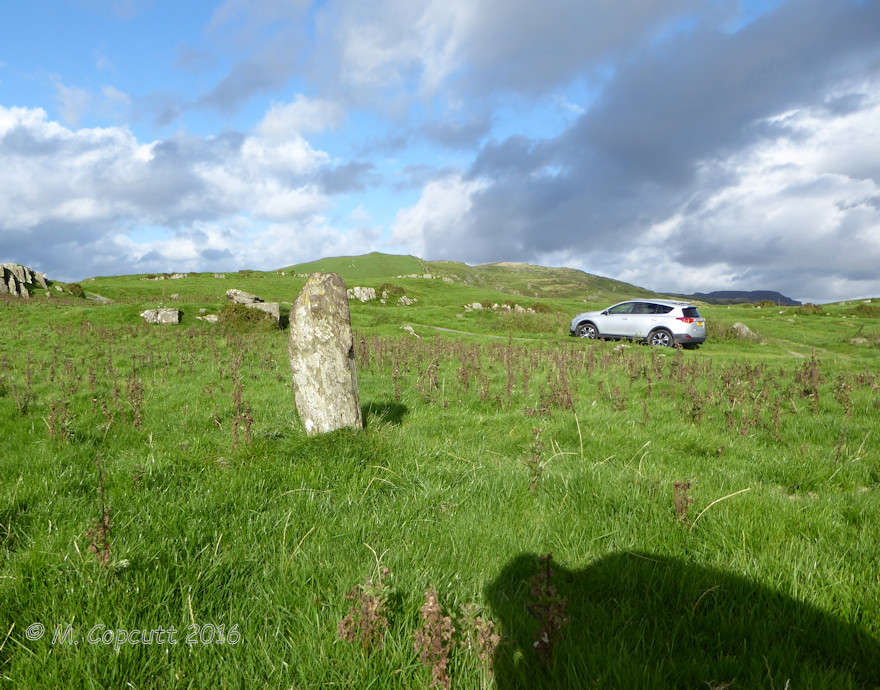 Moel Goedog 1