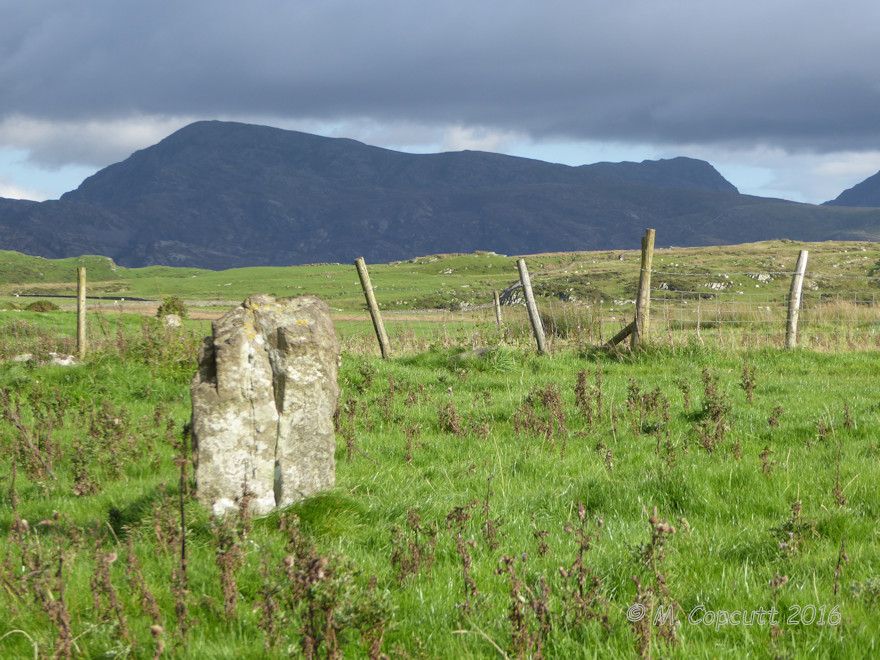 Moel Goedog 1