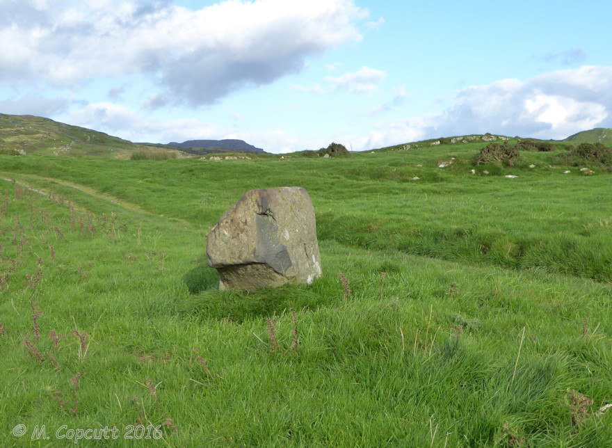 Moel Goedog 2