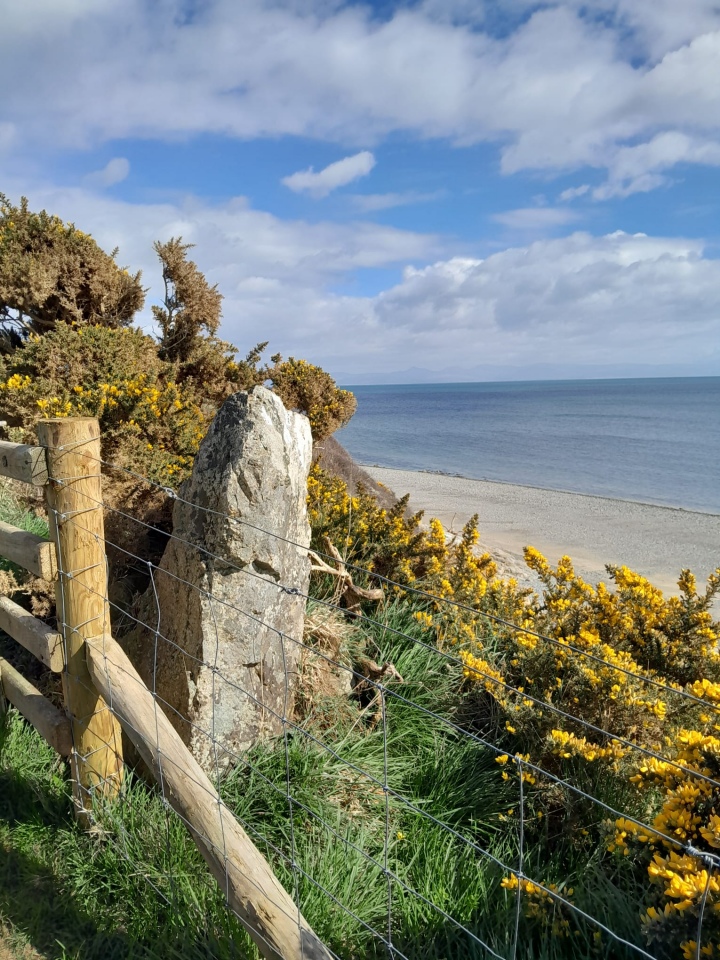 Click for the gallery page to add comments and vote (PID:287748) Carreg y Defaid
