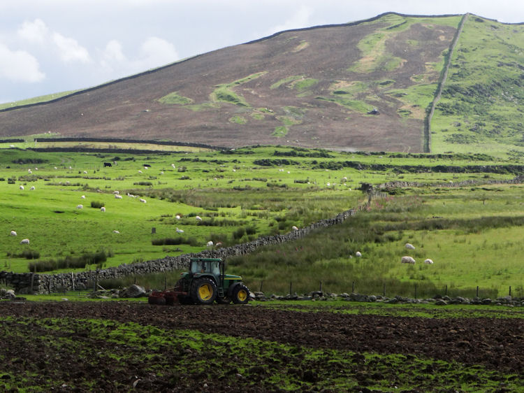 Click for the gallery page to add comments and vote (PID:91067) Moel Goedog Hut Circle