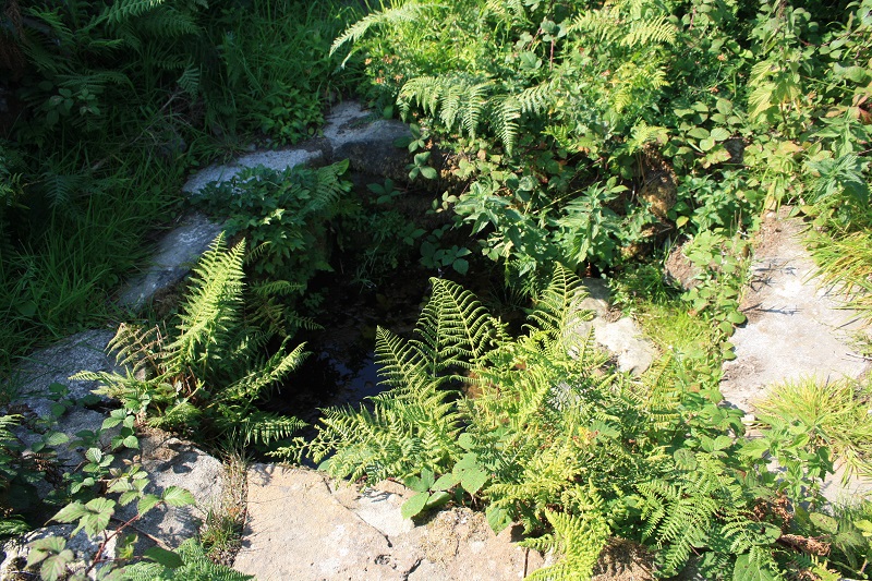 Ffynnon Aelrhiw