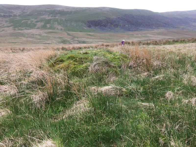 Pont Scethin Double Cairn