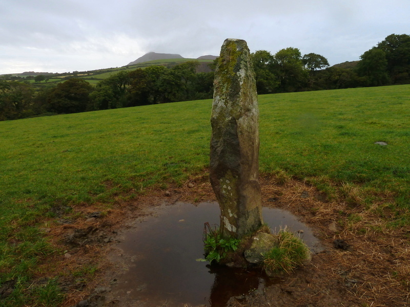 Click for the gallery page to add comments and vote (PID:160031) Pandy Standing Stone