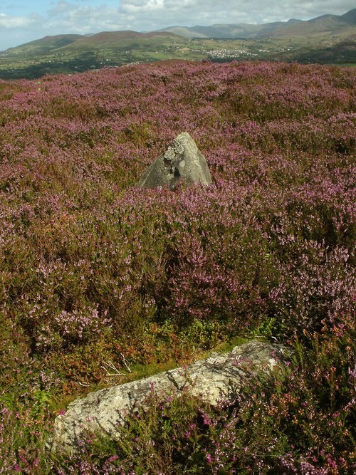 Click for full size image of Hafodlas Cairn Circle (PID:143589) Hafodlas Cairn Circle
