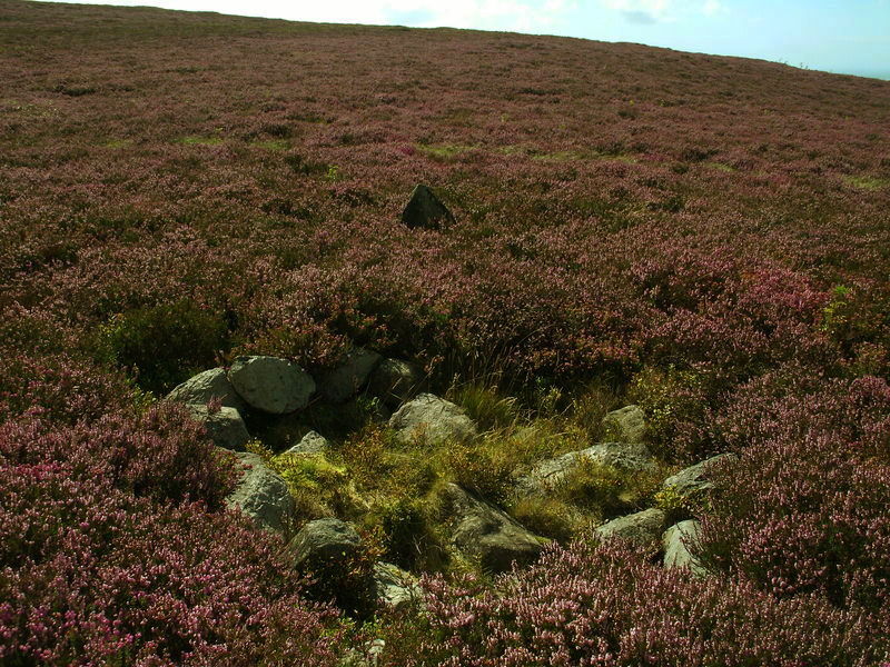 Hafodlas Cairn Circle (PID:143590) Hafodlas Cairn Circle