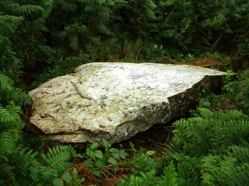 Mynydd Tir-y-Cwmwd
