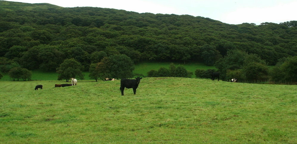 Click for the gallery page to add comments and vote (PID:142857) Happy Valley Tumulus