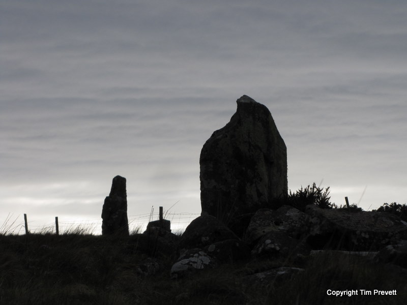 Bryn Seward Stone Row
