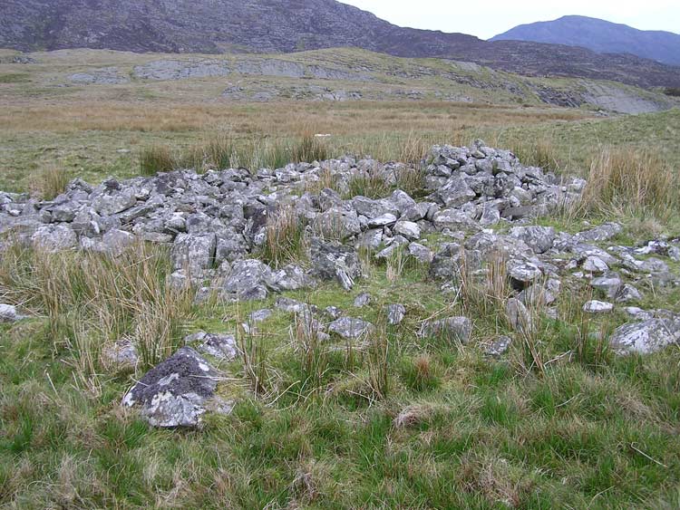 Click for the gallery page to add comments and vote (PID:14024) Cairn, S of llyn Caerwych