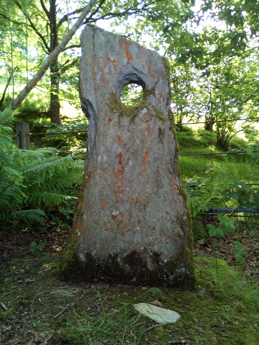 Click for the gallery page to add comments and vote (PID:182652) The Stone of Goronwy