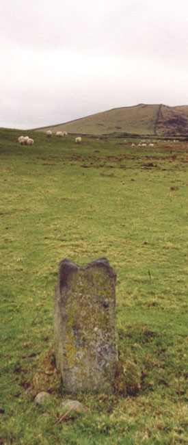 Click for the gallery page to add comments and vote (PID:5712) Moel Goedog 6